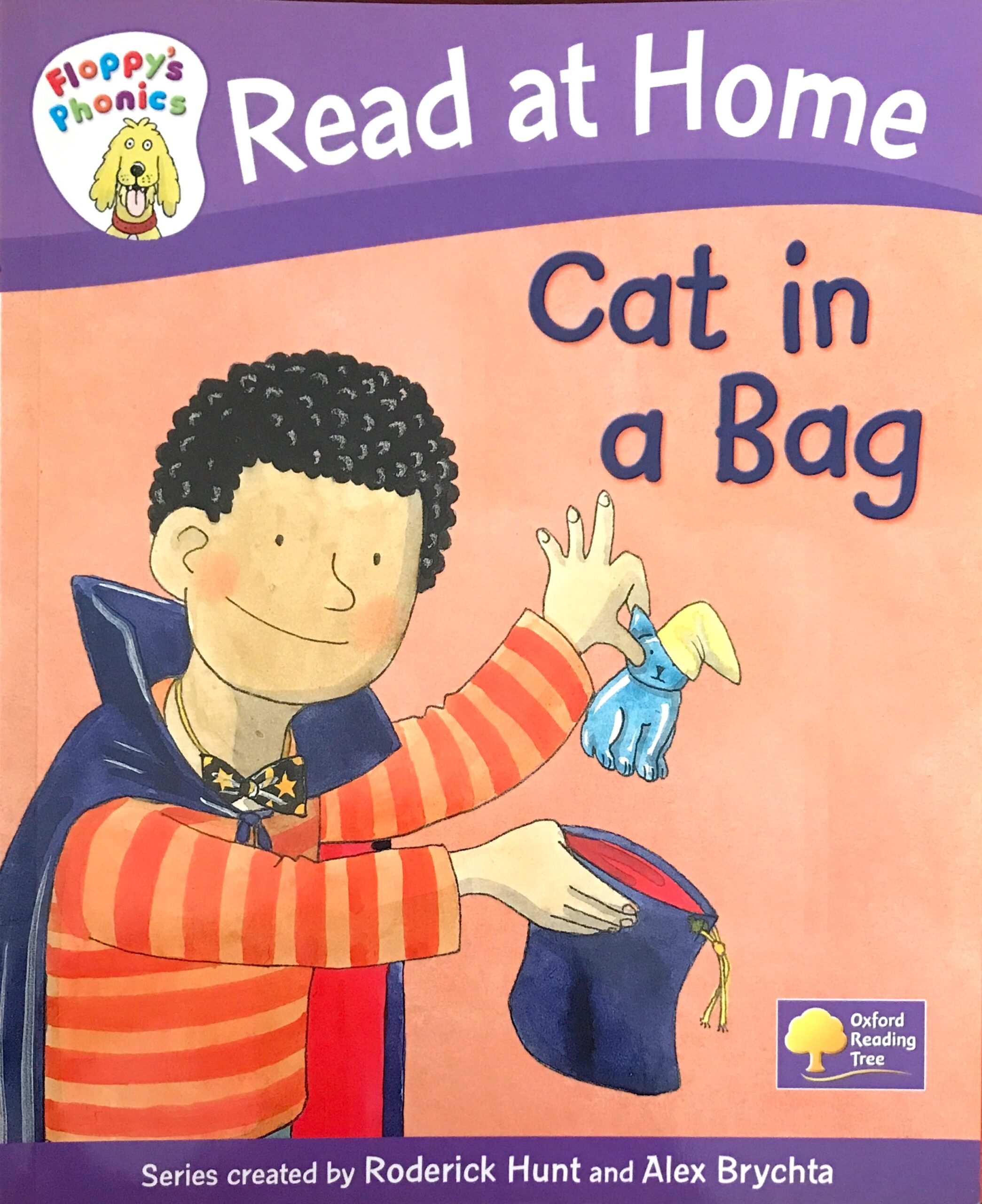 Floppy’s Phonics Read at Home Cat in a Bag (Level 1+) Elimu Box